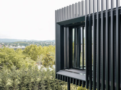 blackhouse_D_dedins (2)